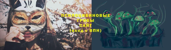 mdpv Пересвет
