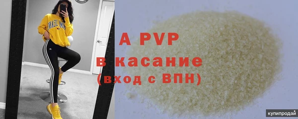 гашик Бабаево