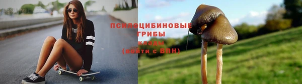 apvp Пестово
