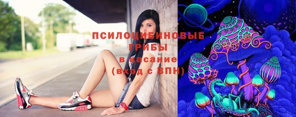 амф Переславль-Залесский