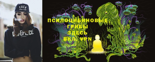 тгк Аша
