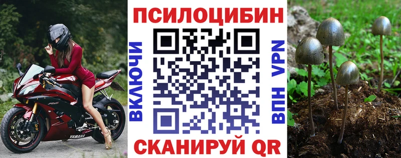 KRAKEN ссылки  Бирюсинск  Галлюциногенные грибы ЛСД  цены наркотик 